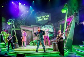 Little Shop of Horrors review – a mixed bouquet of kooky romance, doo-wop and wild B-movie