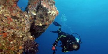 5 Italians from Genoa University killed in Maldives diving incident
