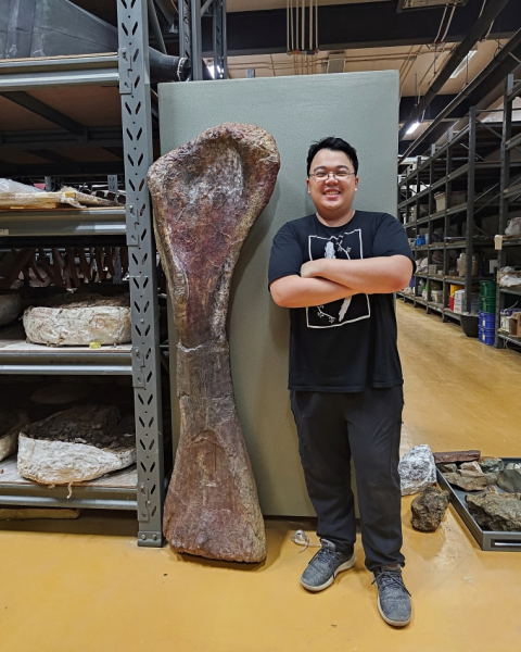 Scientists dig up Southeast Asia&rsquo;s largest dinosaur